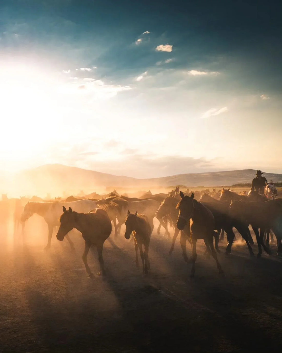 What to Expect in Your First Counseling Session