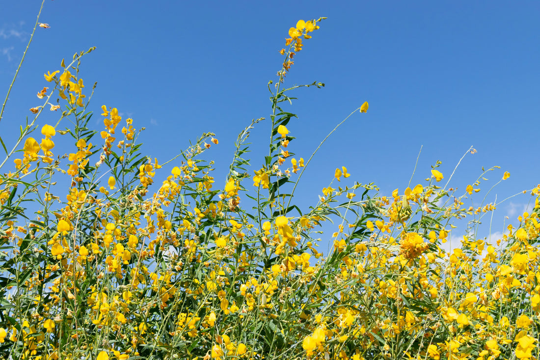 How Therapy Helps with Relationship Challenges